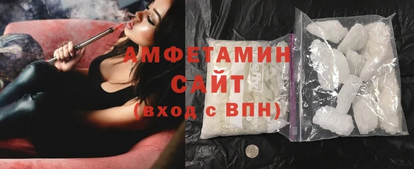 индика Инта