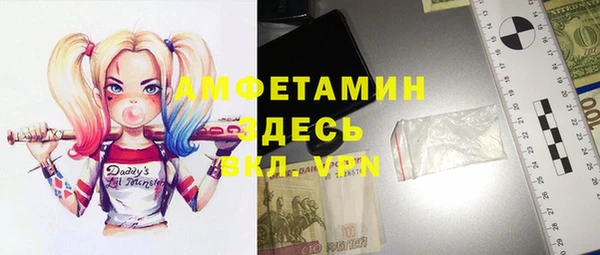 индика Инта