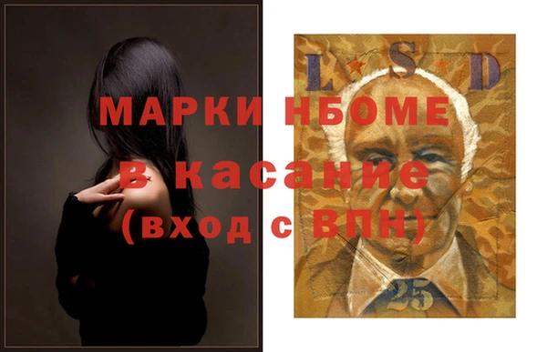 индика Инта