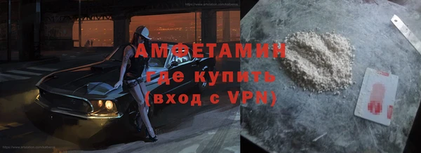 индика Инта