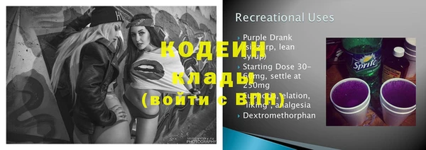 индика Инта