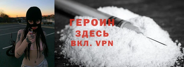 индика Инта