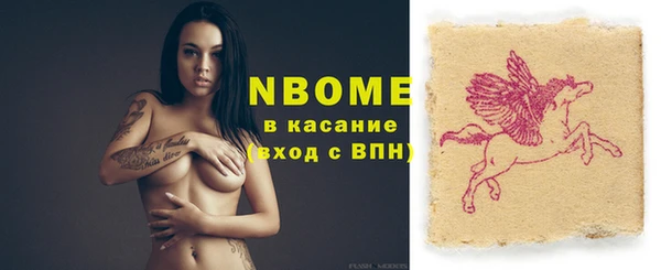 индика Инта