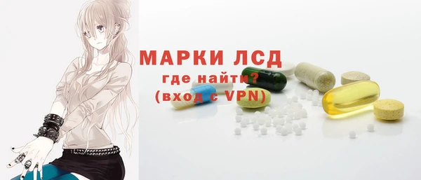 индика Инта