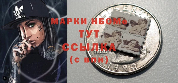 индика Инта