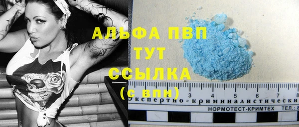 индика Инта