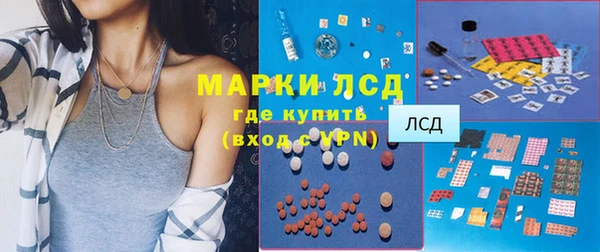 индика Инта