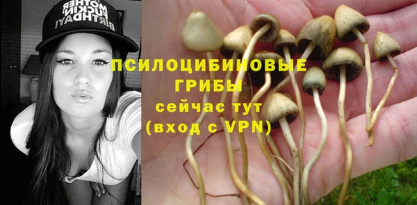 индика Инта
