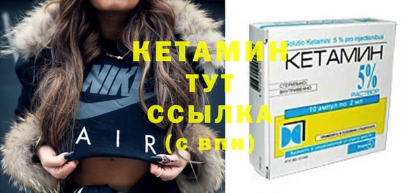 индика Инта