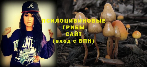 индика Инта