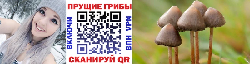 ОМГ ОМГ зеркало  наркошоп  Камызяк  Галлюциногенные грибы ЛСД 